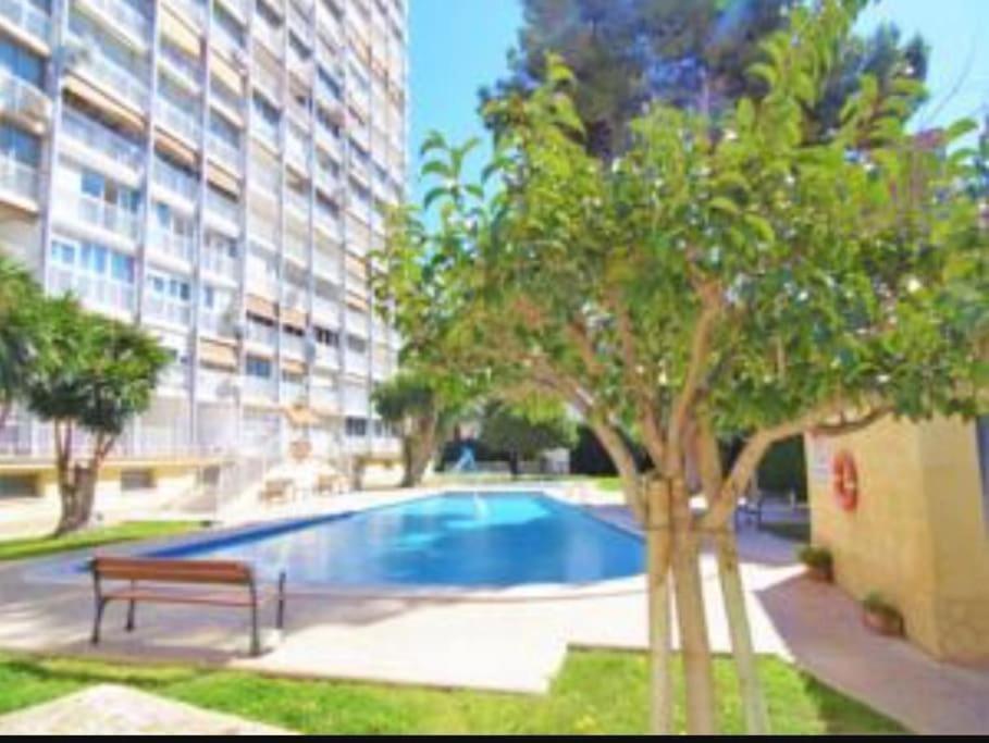Apartment Stylish And Modern Benidorm